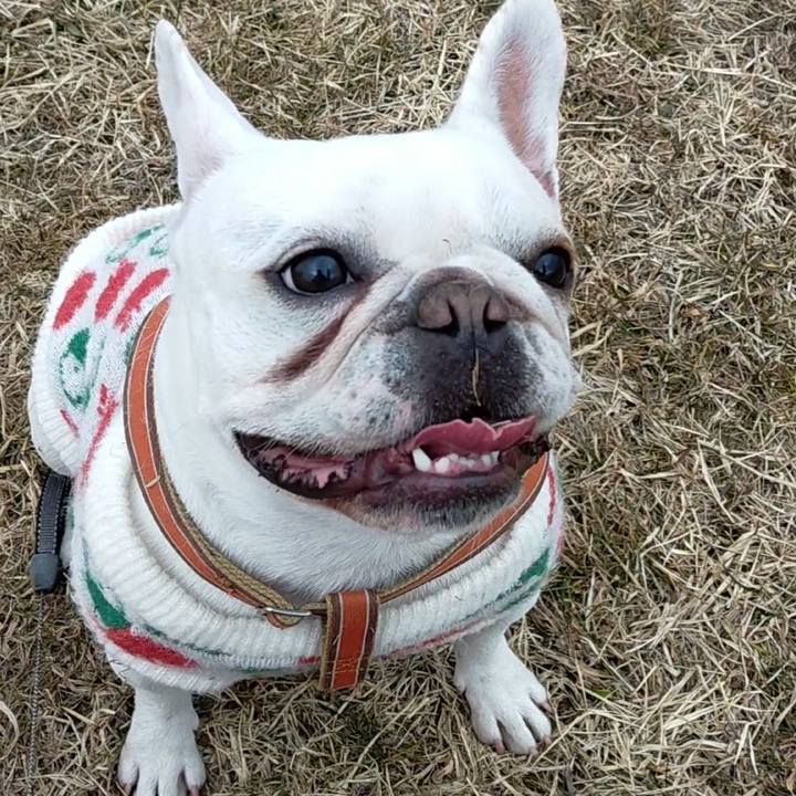 Ac8c14bc d647 4488 bd52 b178eb2b8341 1643101105523