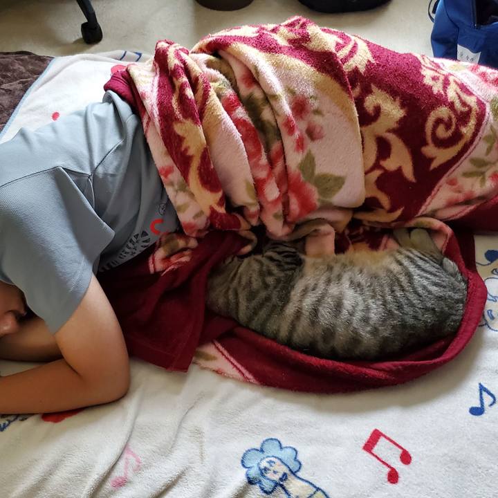 Ac8c41ba 8ab6 4ffd bae4 0bbcb49ae437 1722567805537