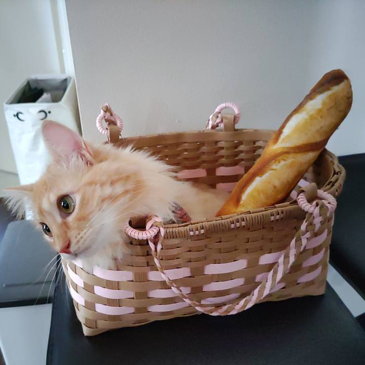 Ac8c5f01 43e6 4fce 80a7 5bb406023e96 1661304497439