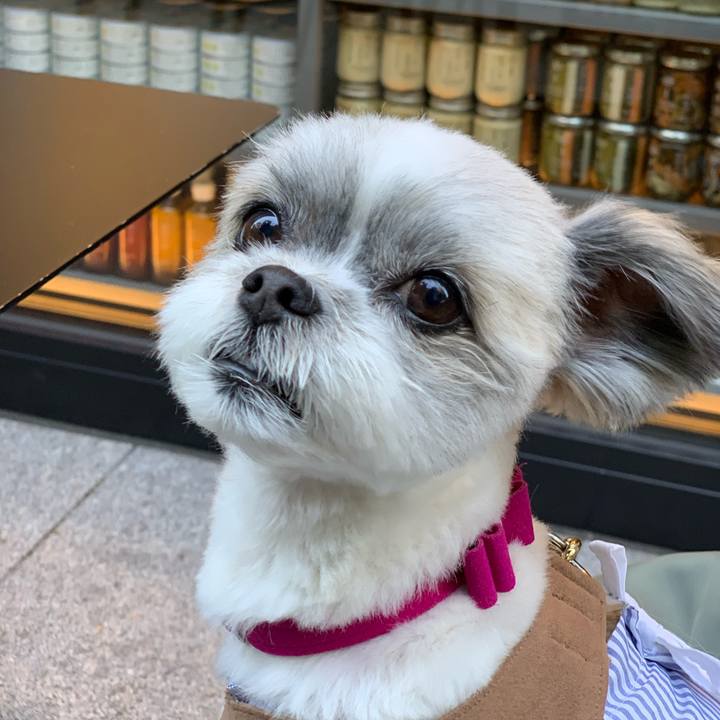 Ac8c73c2 56b9 43a8 a994 717b18494419 1624328038553