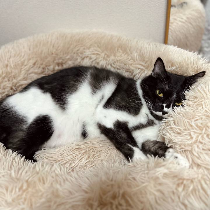 Ac8c7426 4525 4f1c 9570 d0a2fe5e41d1 1764503094345