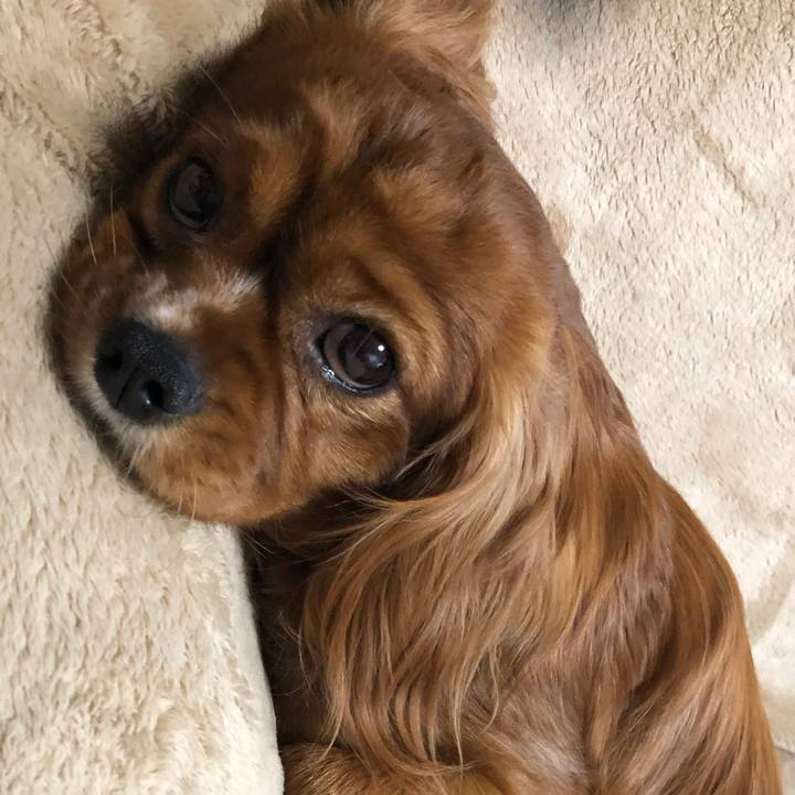 Ac8cc63f a013 4c93 9ce8 3b4f7aea6d23 1552571716422