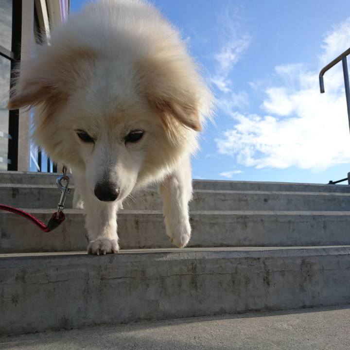 Ac8cdb18 9570 4752 8d73 132ce2b78e3d 1534972868571