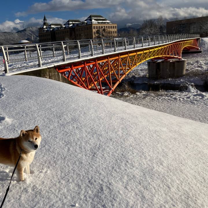 Ac8d18e9 cc83 4aa4 80a4 05b5e895281c 1769073324544