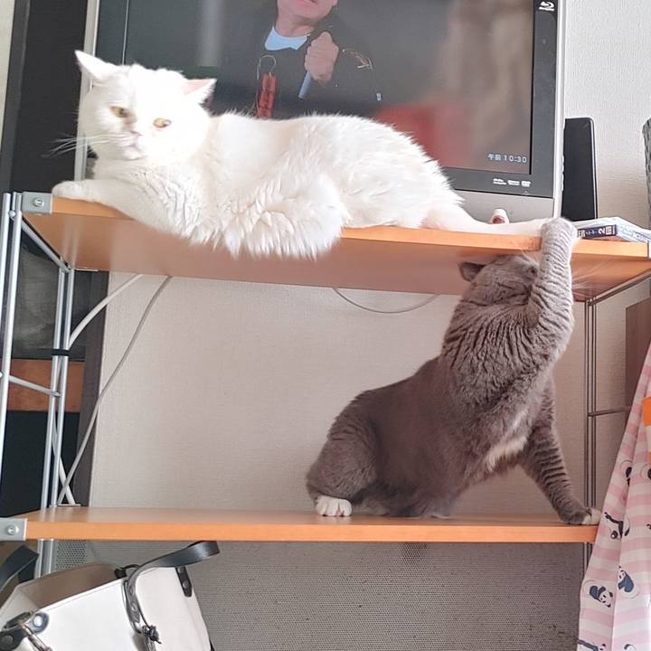 Ac8d26d7 ebdb 49ea bd26 1b0ea3a906f8 1629596097429