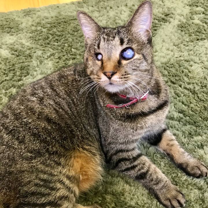 Ac8d6f16 5bf2 49ce becb 891236d69a83 1536811748958