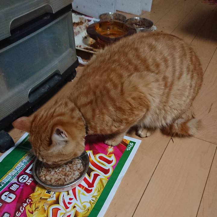 Ac8db7a9 4cfd 464a b57e 550723eef990 1646909422659