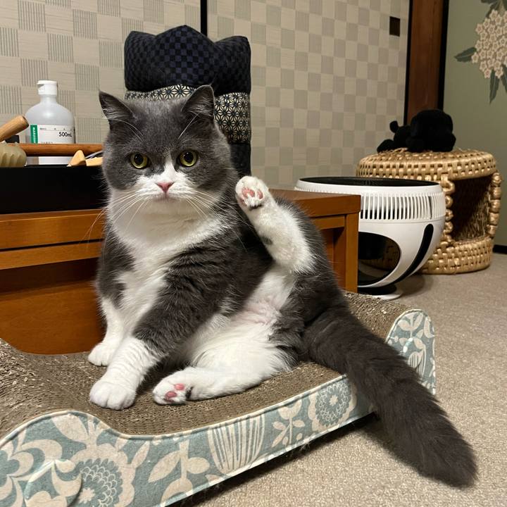 Ac8dd415 282c 4192 bdec e25770ffd801 1657629639896