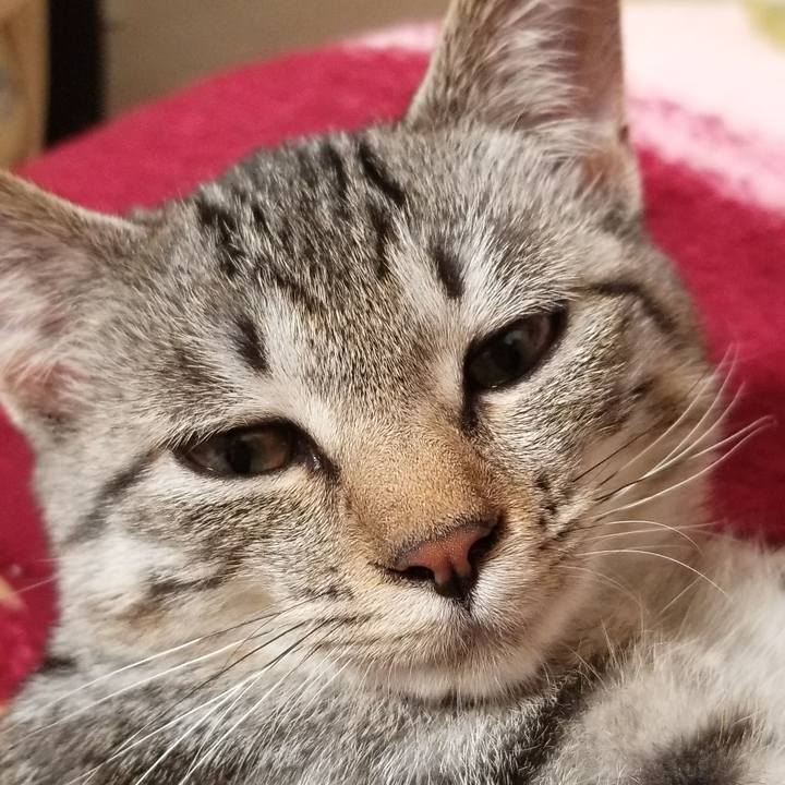 Ac8de7c6 e8a8 40c4 9511 d149d3bb7720 1667737071616