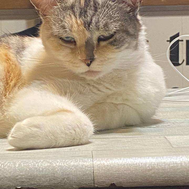 Ac8e37d2 755a 471f accd 4b11a9c9d1fc 1604851632847