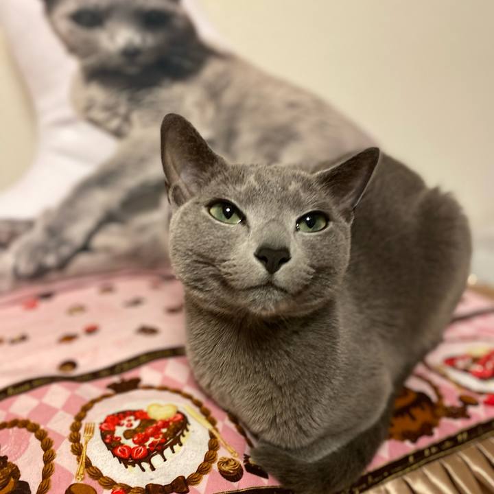 Ac8e384f 34e2 416e 8f51 51d1e399e37d 1678920856063