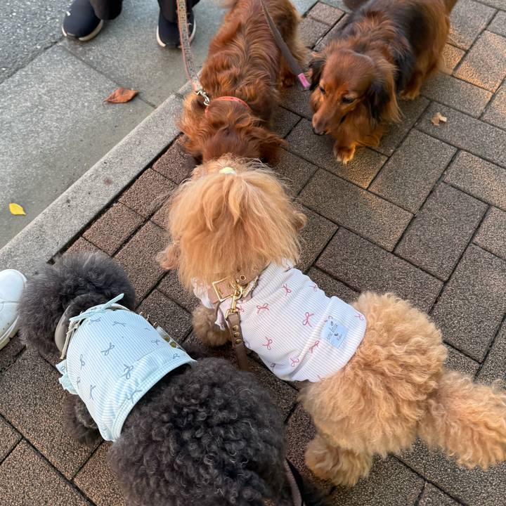 Ac8e6649 09c0 4c22 bc80 84154dbbc5cf 1754177633088