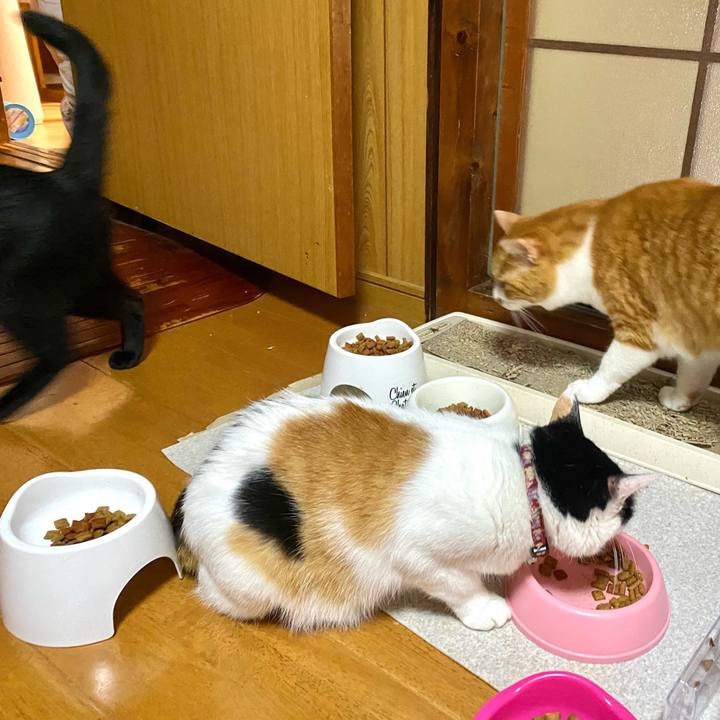 Ac8e7007 2c19 4223 aab4 52677d2a9cb4 1658324293812