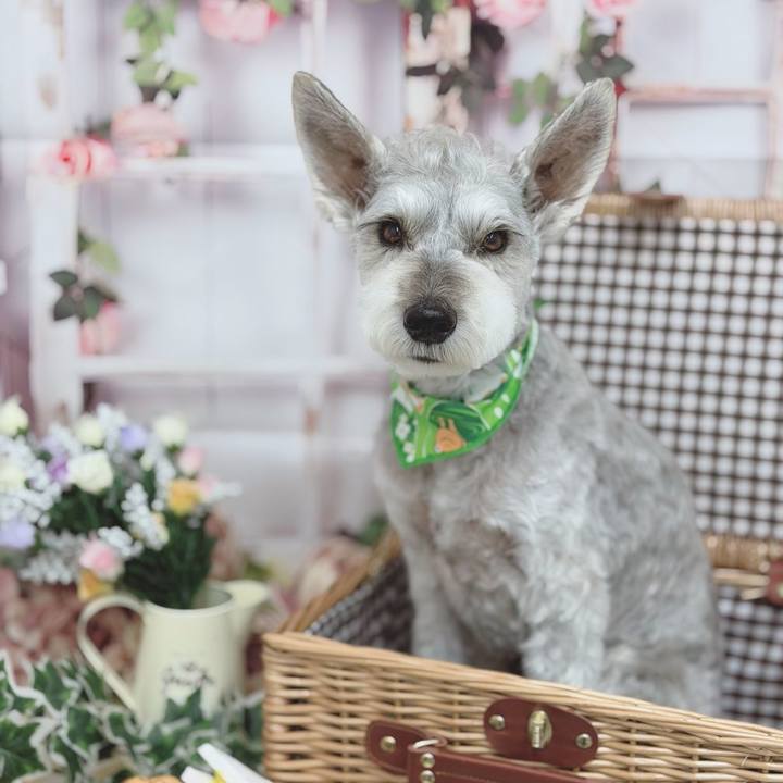 Ac8e7bff dd35 4f29 a5b5 eb3ac59dca32 1778149387013