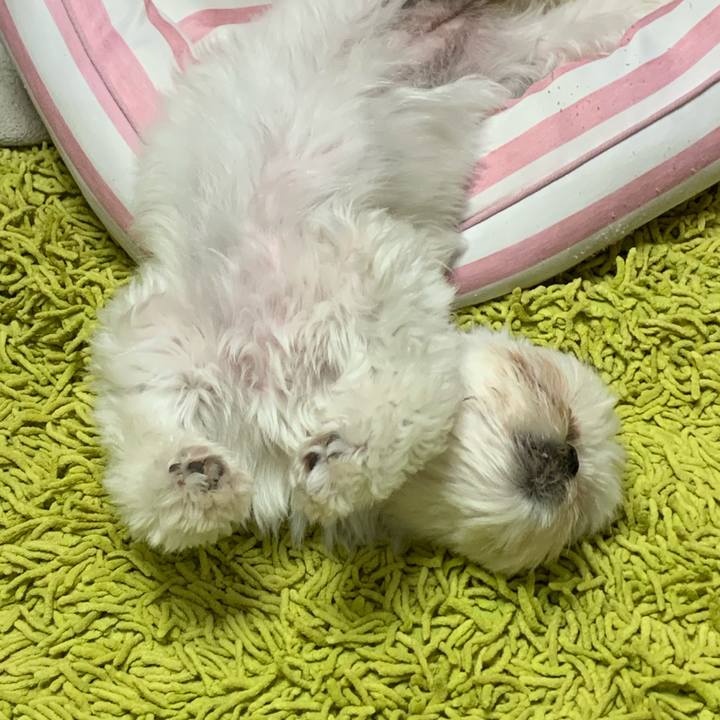 Ac8e8f75 9a0b 4807 a8e4 9967463eff9a 1685890362807