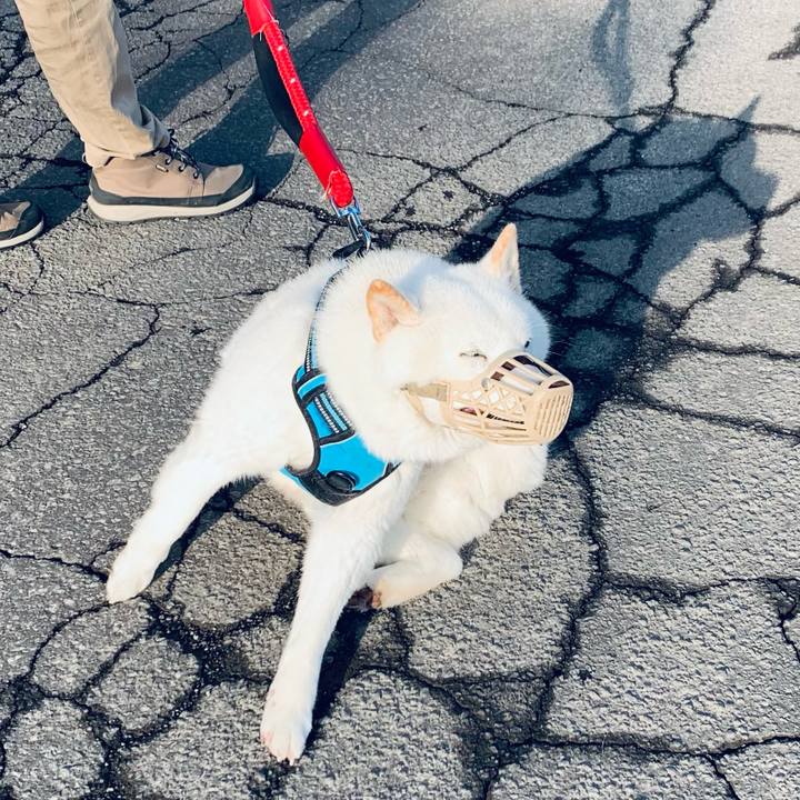 Ac8e9467 d0ed 4992 9db0 e4461f90ed61 1680390588145