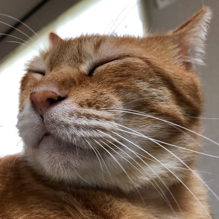 Ac8ee5cc 0b0f 457b 9a84 f03e4dbe70ee 1562969614284