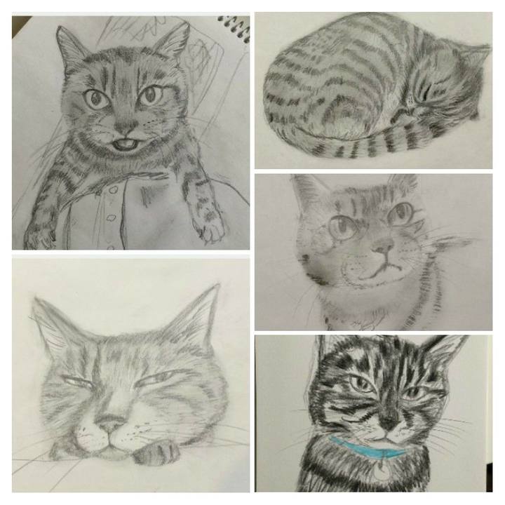 Ac8f057c f7dc 4fc2 a079 78207c131d93 1613359366179