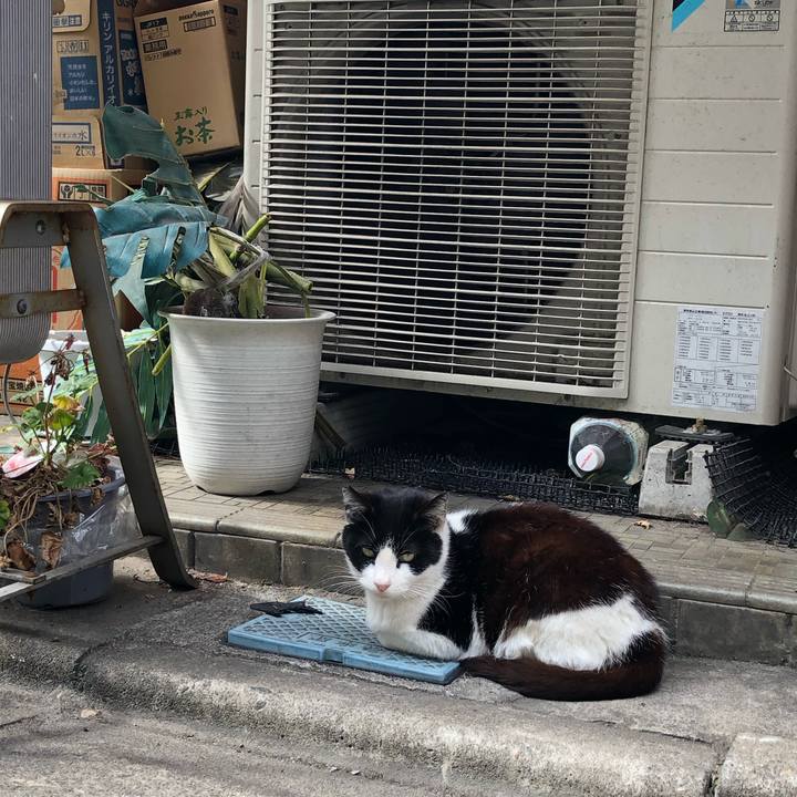 Ac8f076b 4f97 4f31 a3ec 8e75e7cd49ed 1555081217107