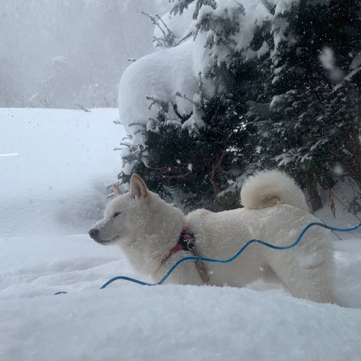 Ac8f1ce4 b575 4625 a70a d579cbed5593 1581382199391