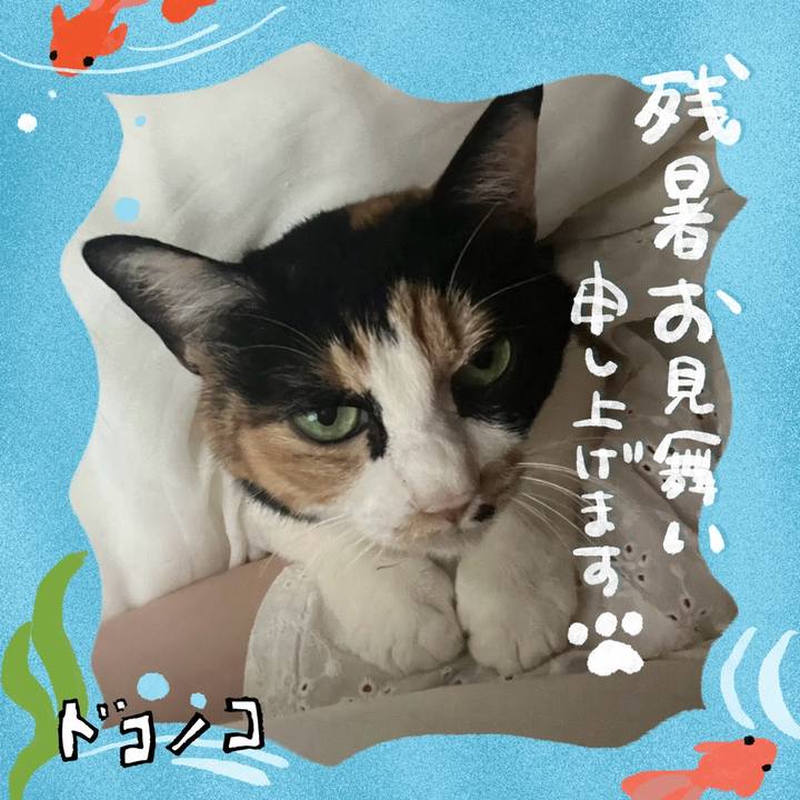 Ac8f590c edc4 48ce a5d1 39030baf7058 1723449342099