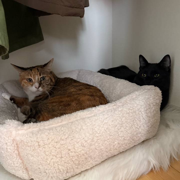 Ac8ff67d 7f0a 4276 85e2 1aaf2cf56661 1775970627727