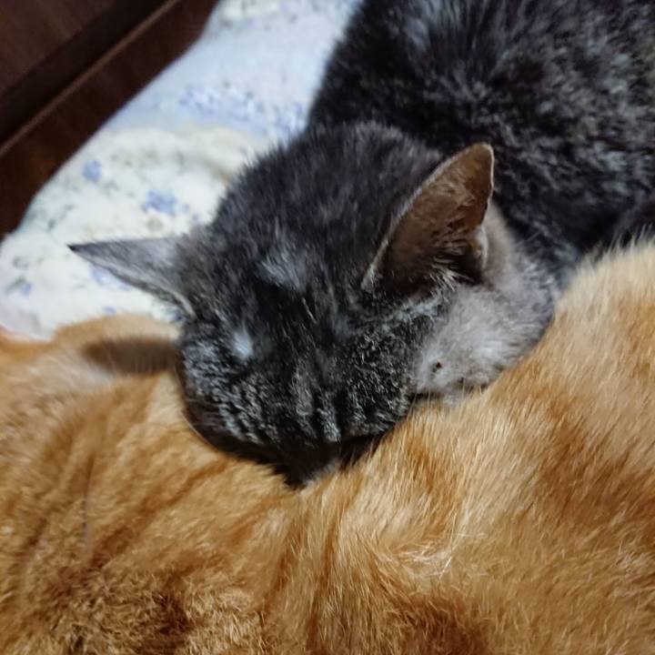 Ac9030f3 fbd8 4a1f a854 fa2be3ff6089 1579002772864