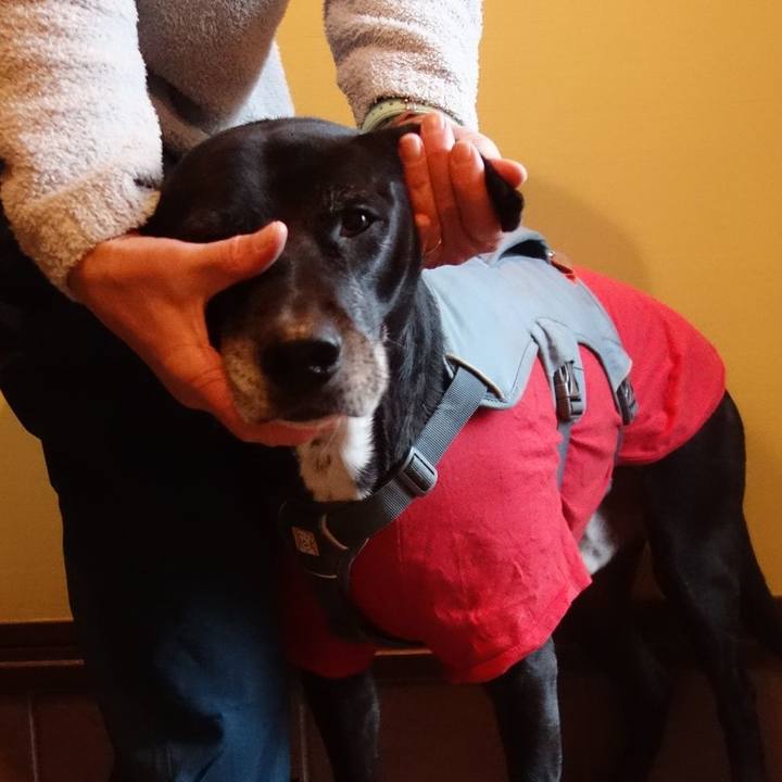 Ac903c21 c978 4d3d 9c06 4871e5b31e5e 1734395335966