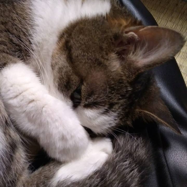 Ac90404e 8159 4522 b89a 38fa1e8c1d38 1528287558182