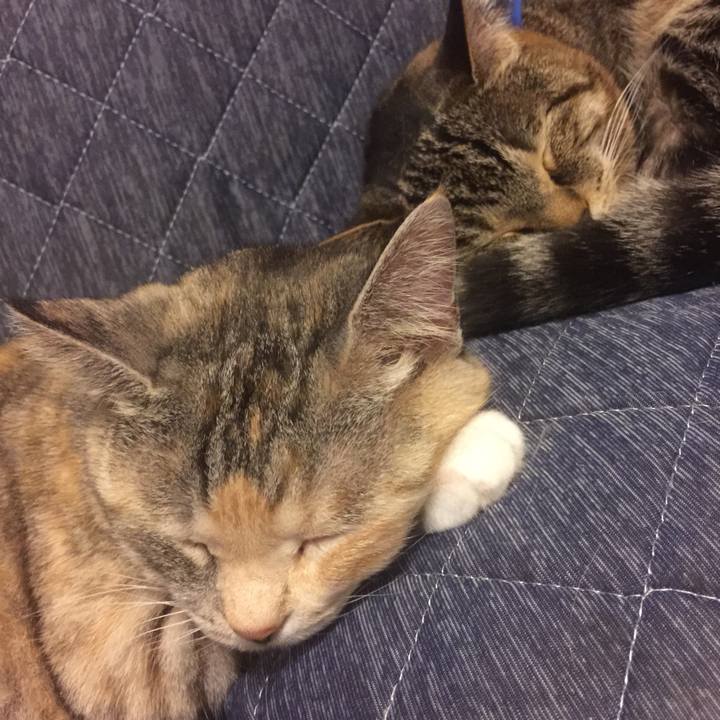 Ac905a19 38d1 44b6 936c 4cb158794da6 1559389345280