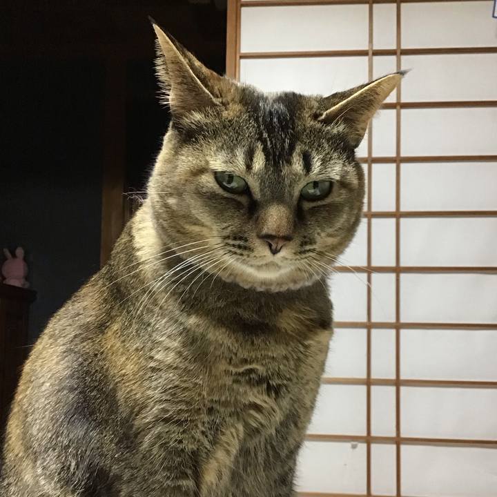 Ac90c925 8a03 48b6 96b4 e2c17a0e4c60 1676625942121