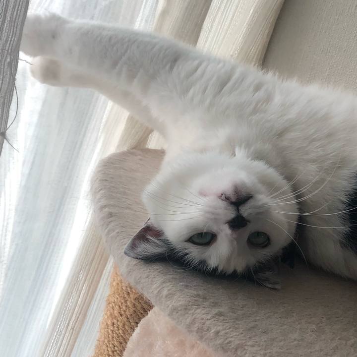 Ac90fc21 e5ec 4c69 908a a5e095839040 1576386845770