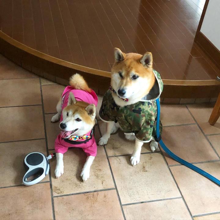 Ac910b2e 197d 498e acfd f6563ac6ee2d 1600430398002