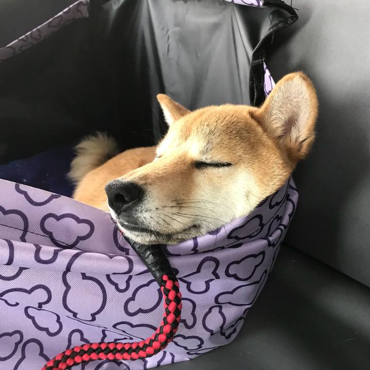 Ac9128c5 c3d8 4b26 8417 11d2ecc2f514 1521442479188