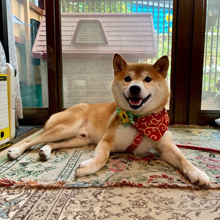 Ac914401 110e 4f56 9c98 f30e6c6cf46a 1564994837615