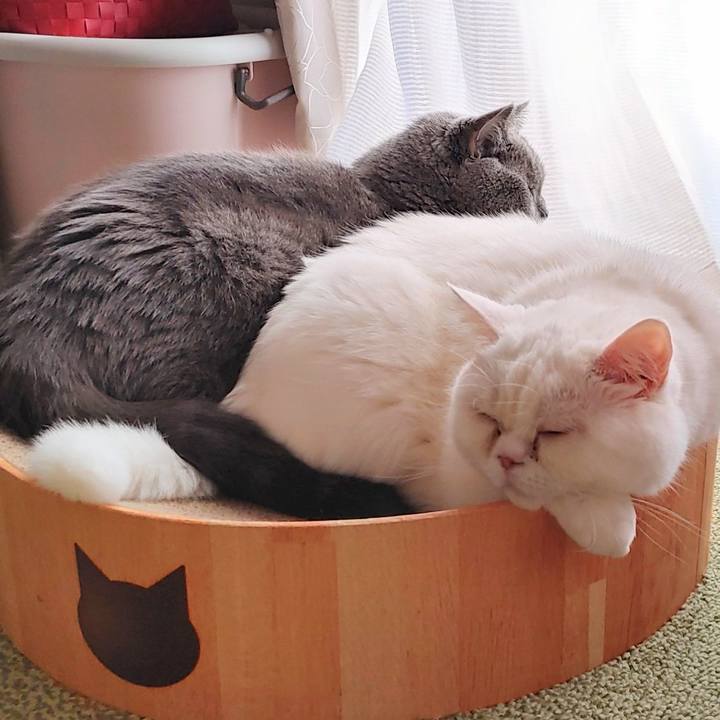 Ac915145 e769 41af b755 f3fdeaa4b7f7 1668581222547