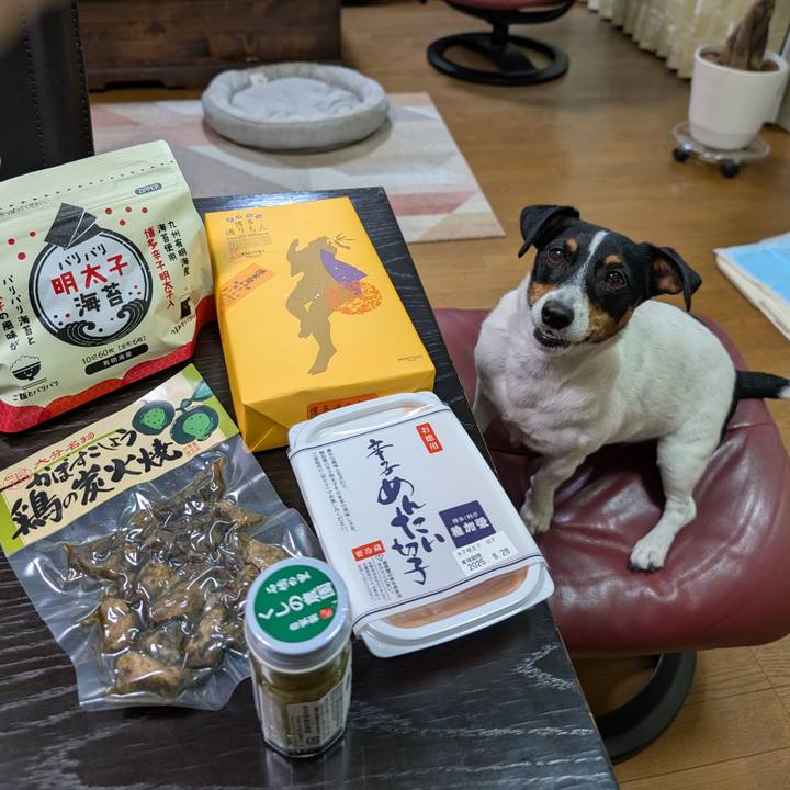 Ac916a9b c4cd 4de4 acad b2c4cd32e029 1755254312812