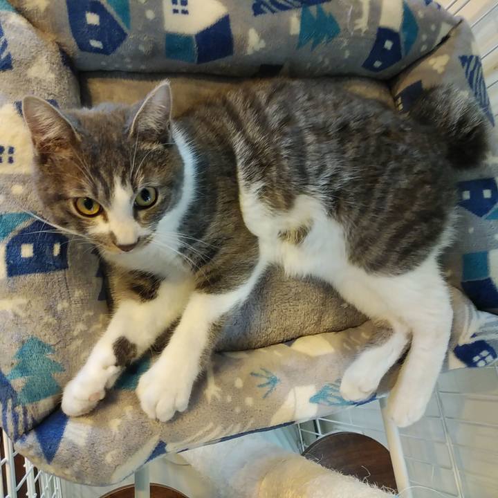 Ac916d7b e5fa 475b acdd 572f914d586b 1575950273695