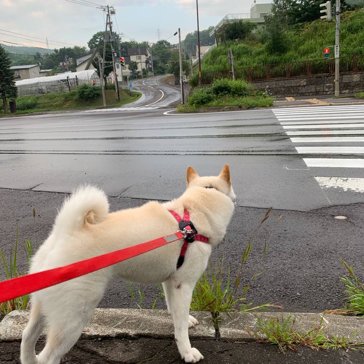 Ac91bc50 4872 4c99 ade1 50c3e5441b23 1564618570133