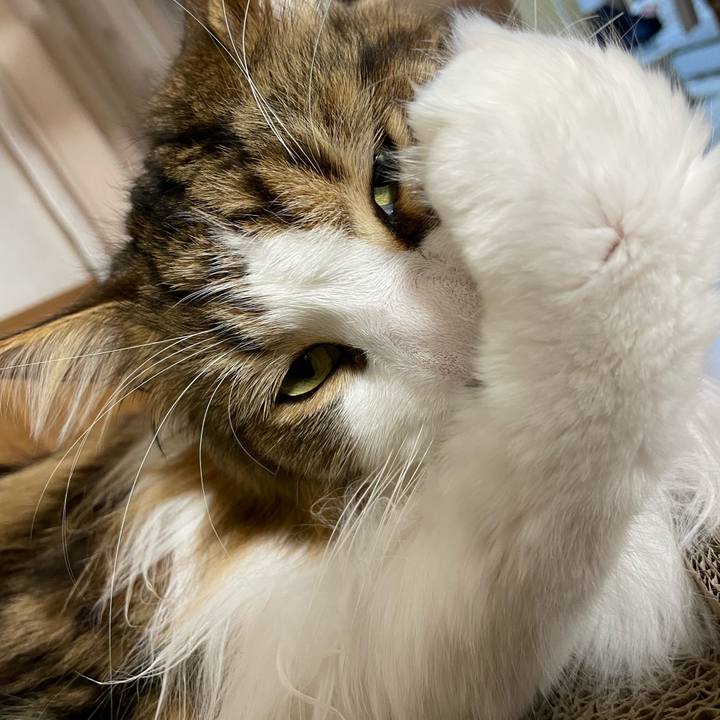 Ac91d5aa eae6 4a4a b4bb c3a5ca1de411 1677071516923