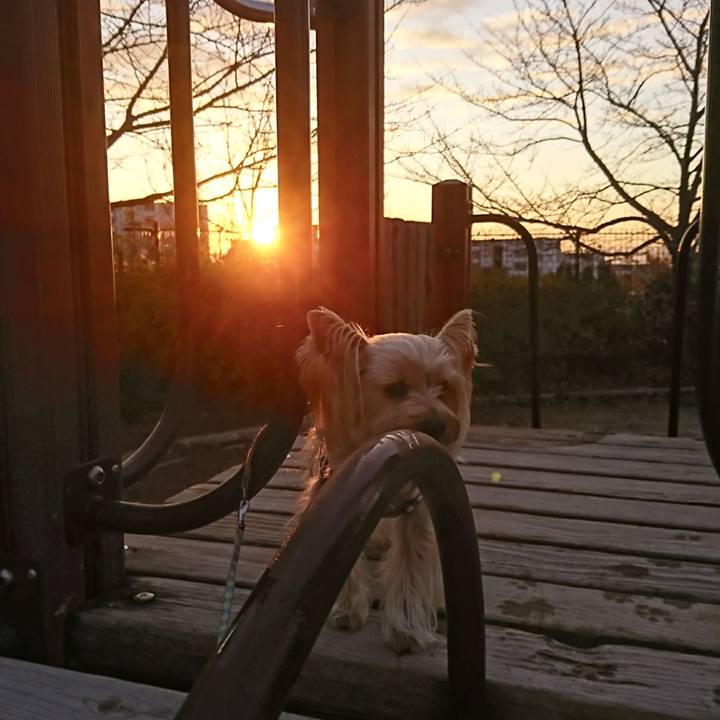 Ac9200b5 932f 4bf1 bd3e d04151724f22 1546295694256