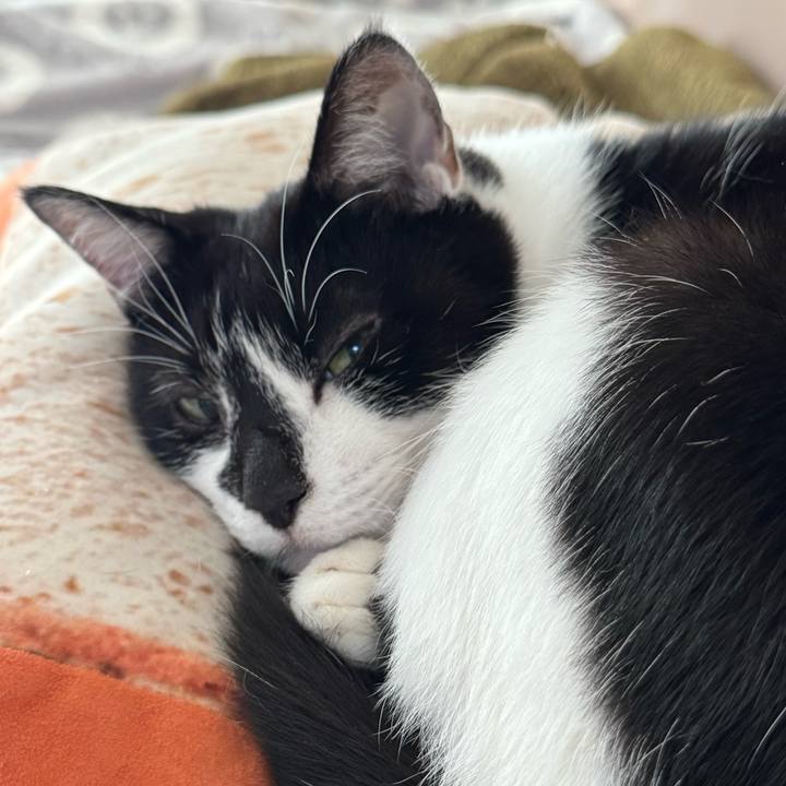 Ac922658 571f 4430 adec bb7f7f224e11 1764464048079