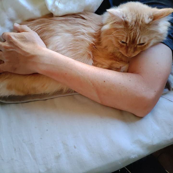 Ac923cf5 8173 4929 b067 7faf4f4dc573 1691100249030