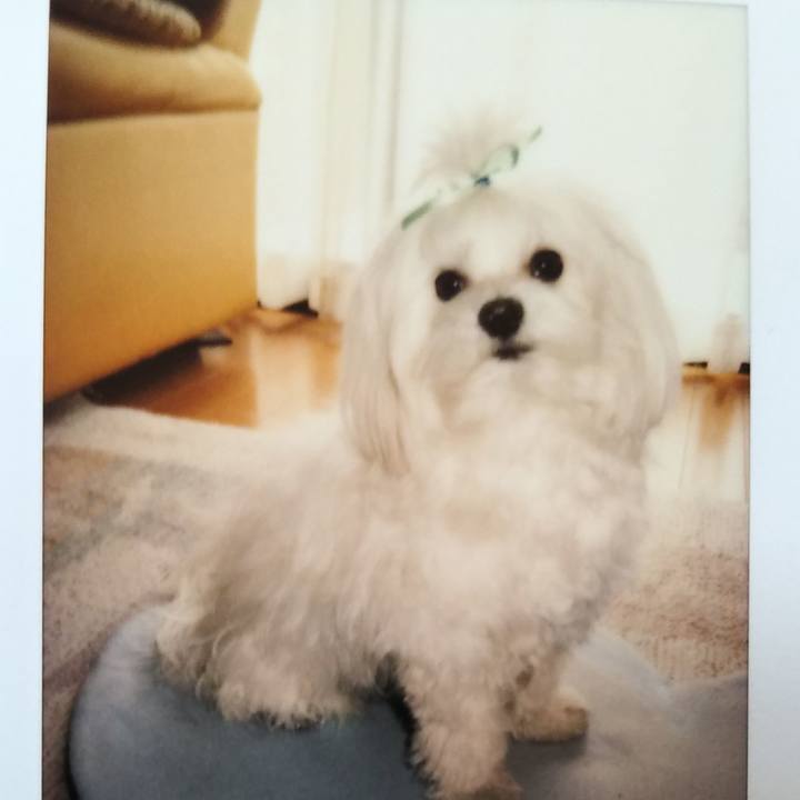 Ac923db4 d675 498f 8883 71ea0ea8cdb2 1570063957063