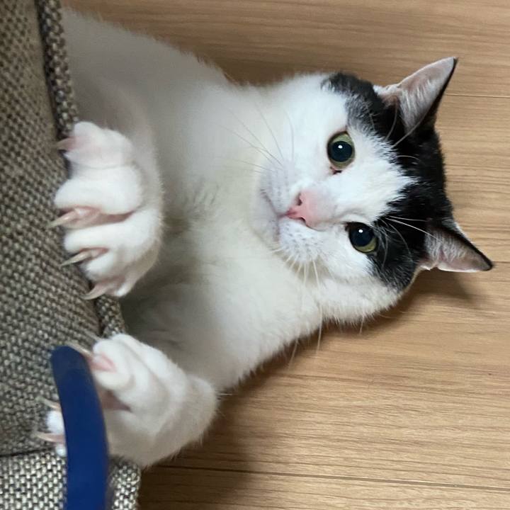 Ac929b19 257c 4bf9 af4e edb88e92424f 1604661975413