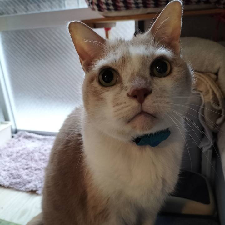 Ac929cd5 cb6f 48e1 aea5 fde09e09a410 1643841326340