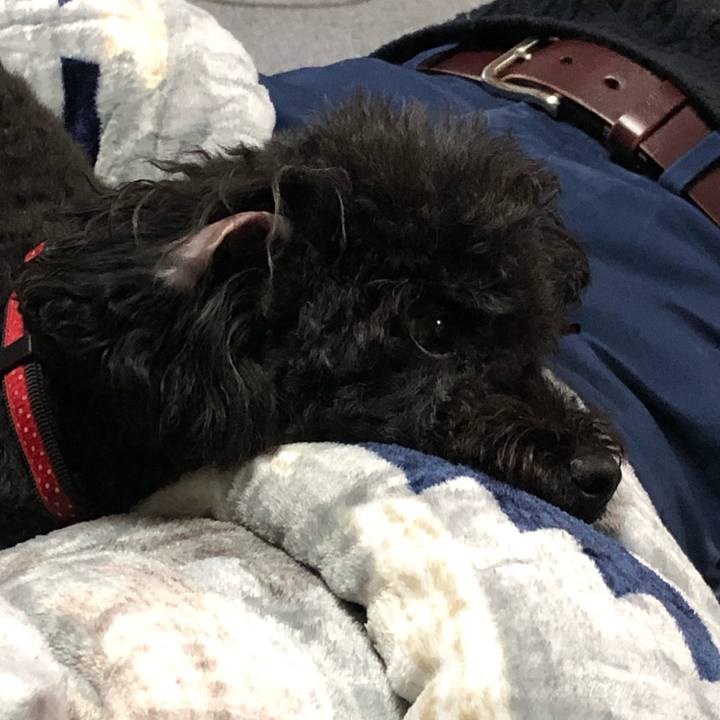 Ac92a613 4962 42c4 9ded 72bdff020078 1607167005035