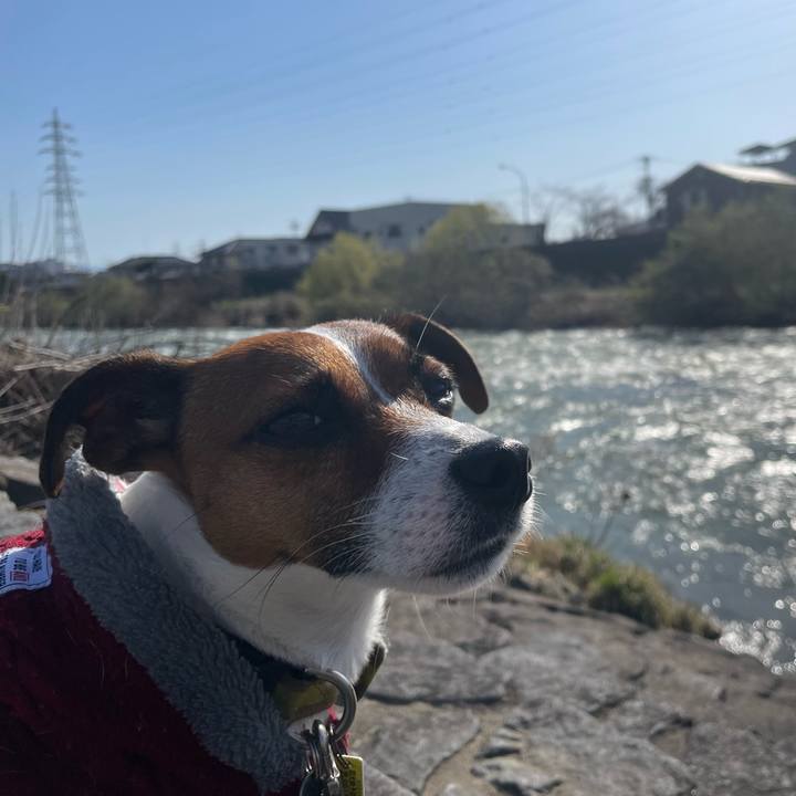 Ac92e59b b082 4f50 aca2 094d0ce34b5d 1649414422237