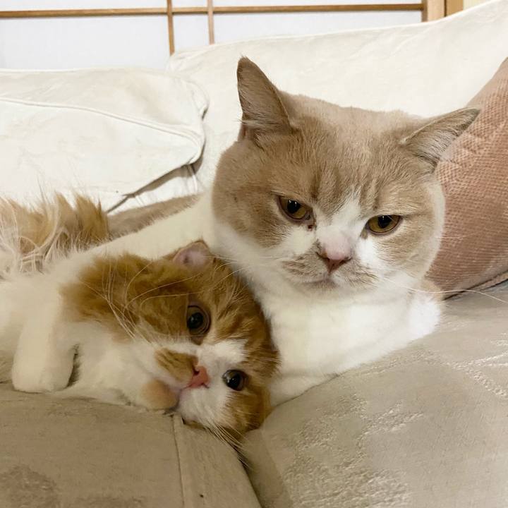 Ac9309ff 19ab 4788 b4a8 db007ede1eca 1604711186945