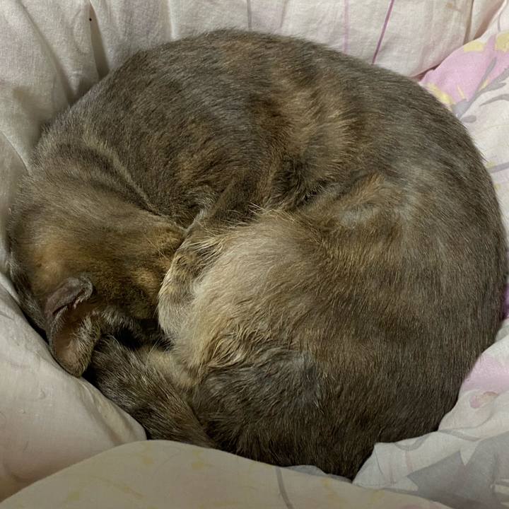 Ac93275e 630d 4cd4 94ed 26d673e93cad 1578042031208